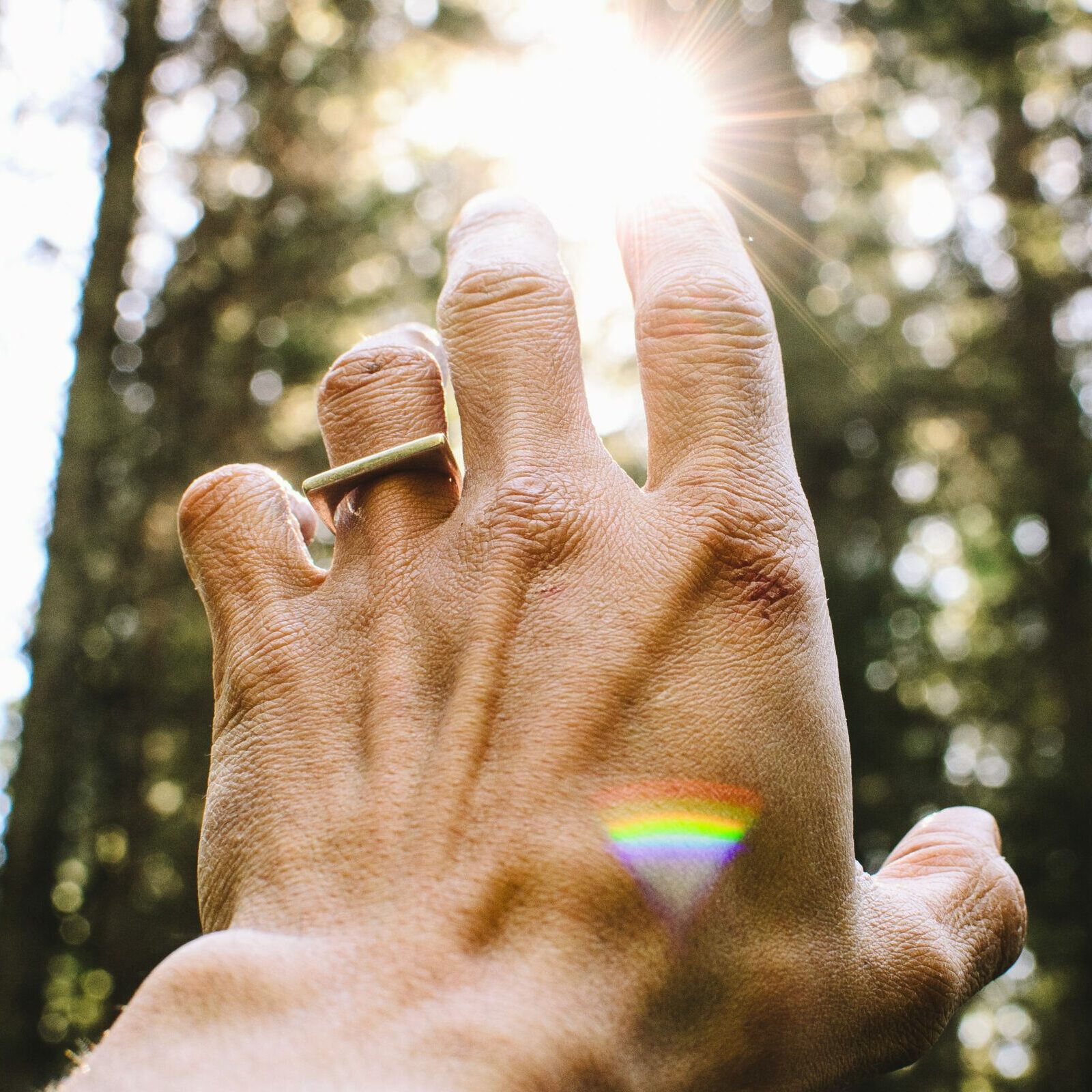 aaron-blanco-tejedor-QUGWB1kqjQI-unsplash