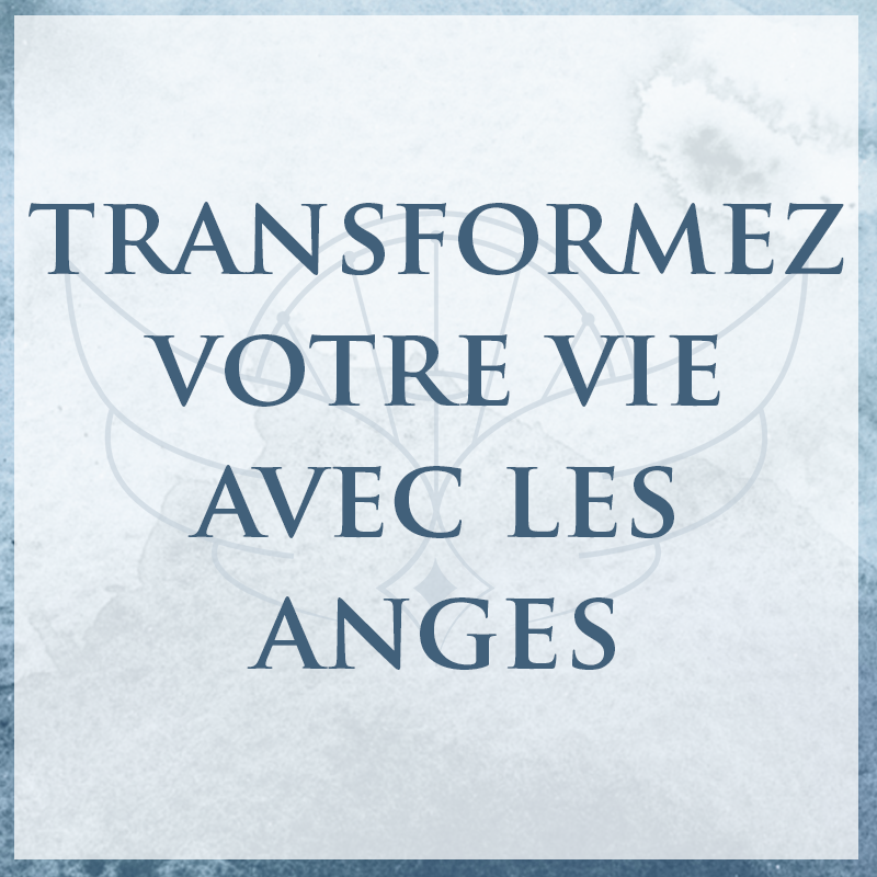 vignette-anges