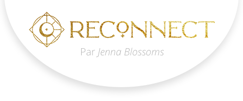 logo-pdv-reconnect